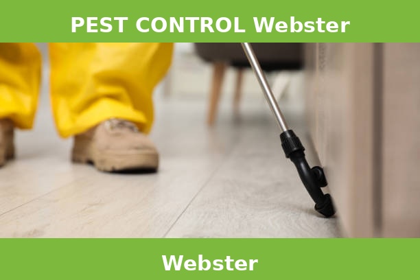 PEST CONTROL Webster